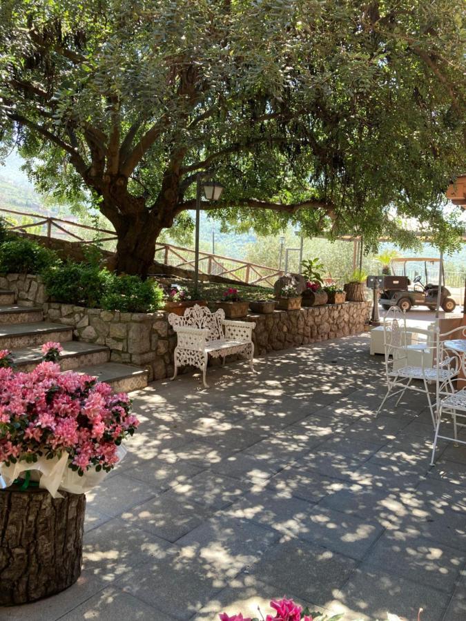 Agriturismo Nonno Luigino Vico Equense Εξωτερικό φωτογραφία
