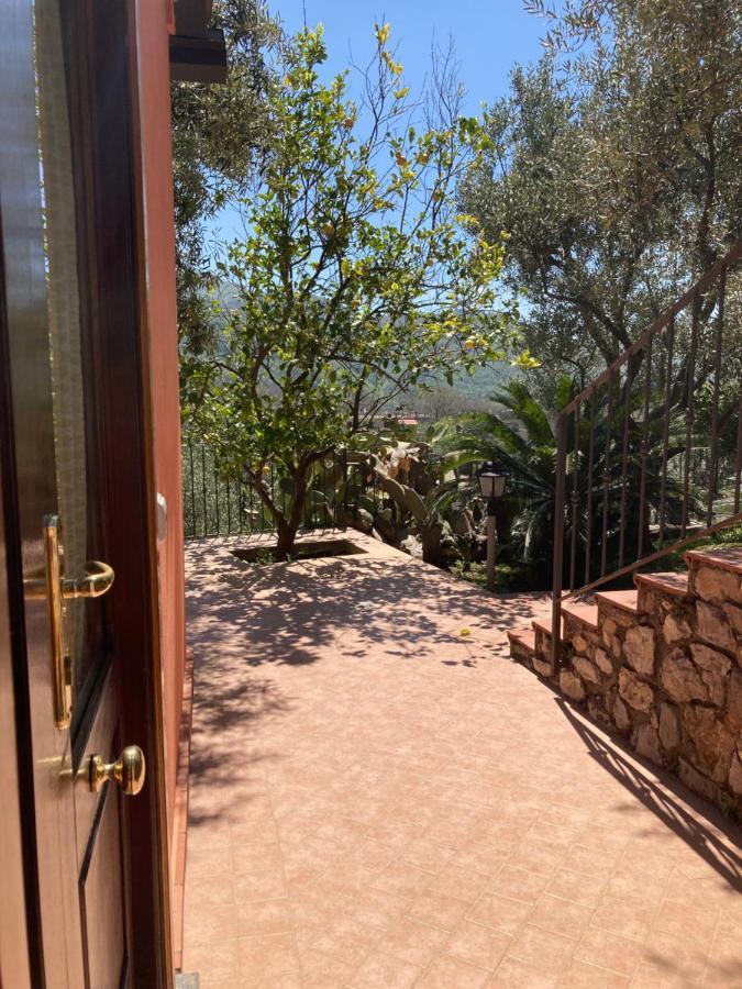 Agriturismo Nonno Luigino Vico Equense Εξωτερικό φωτογραφία