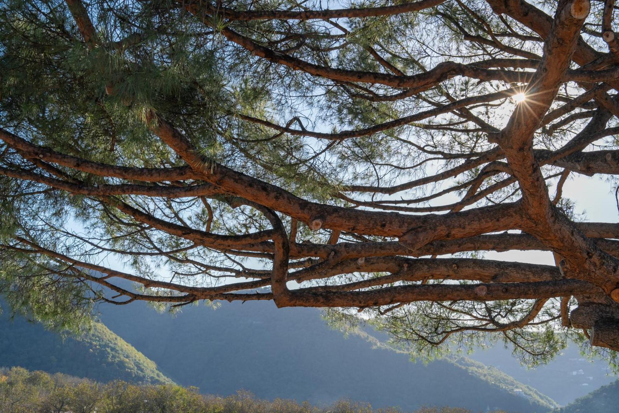 Agriturismo Nonno Luigino Vico Equense Εξωτερικό φωτογραφία