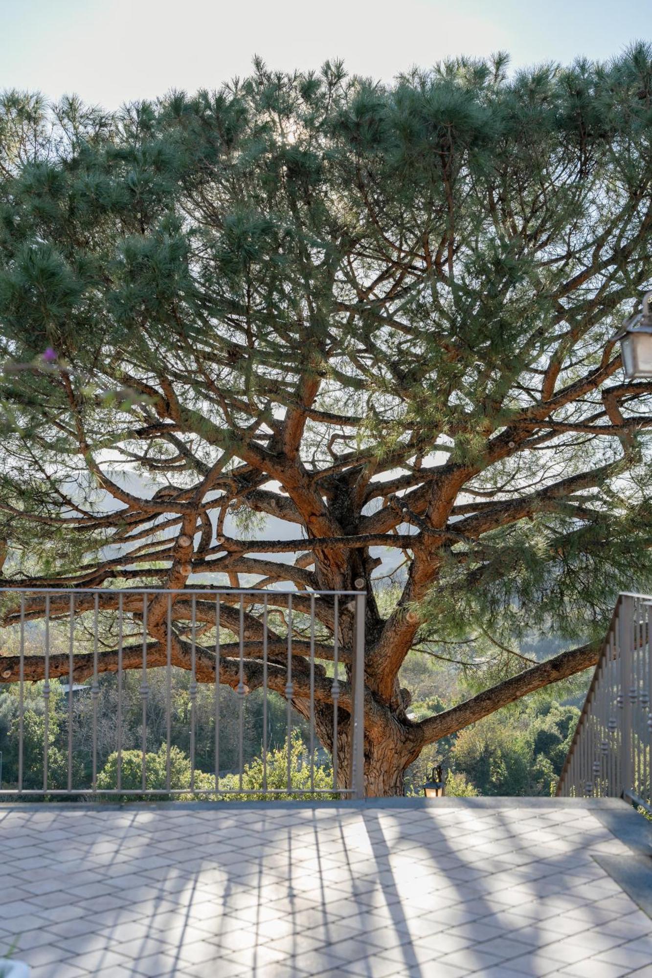 Agriturismo Nonno Luigino Vico Equense Εξωτερικό φωτογραφία